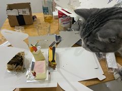 -甜莺蛋糕(顺盈时代广场店)