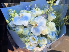 -双季花艺园艺市场(浦东店)