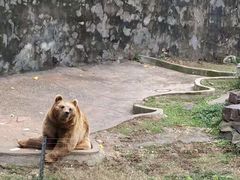 -无锡动物园·太湖欢乐园