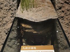 -上海长江河口科技馆