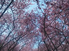 -白塘生态植物园