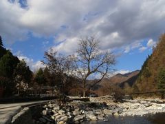 -黑河国家森林公园