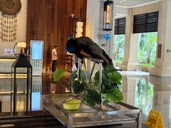 -西双版纳融创皇冠假日度假酒店