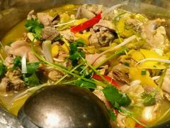 -陈三娃泡姜鸡(太白北路店)