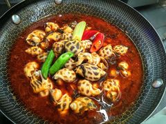 -院里寻菜·精致庭院菜(观沙岭店)