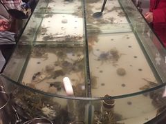 -星伦多自助料理(华润万象城店)