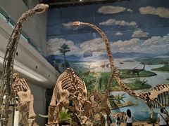 -自贡恐龙博物馆