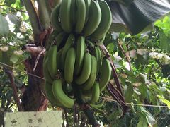 -北戴河集发农业梦想王国
