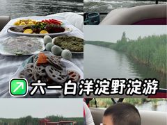 -白洋淀景区