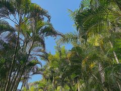 -田心森林公园