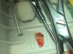 -上海市杨浦区牙病防治所