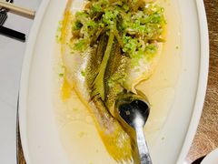 雪菜蒸大黄鱼-上海总会SHANGHAICLUB(兴业太古汇店)