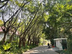 -深圳国际园林花卉博览园