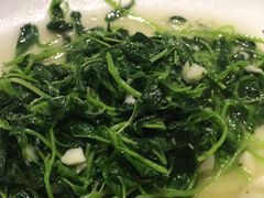 -福照楼汽锅鸡·云南菜(护国路店)
