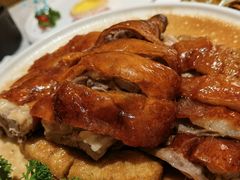 -十二粤味·顺德菜·烧鹅点心(五四广场店)