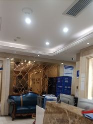 -碧莲盛·不剃发植发