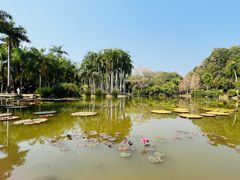 -中国科学院西双版纳热带植物园