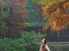 -重庆彩云湖湿地公园