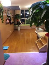 -悦妍韩式半永久纹眉纹绣