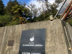 -怀托摩萤火虫洞