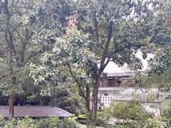 -杭州花家山庄