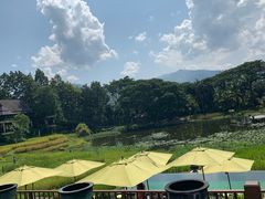 -四季酒店下午茶