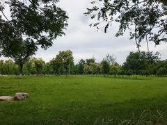 -汉长安城未央宫国家考古遗址公园