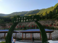 -黑河国家森林公园