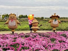 -嘉北郊野公园