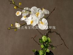 -荷兰布尔玛国际花艺学院