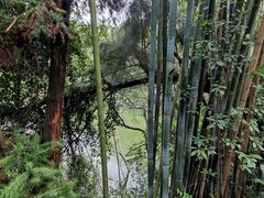 -广州市白云山风景名胜区