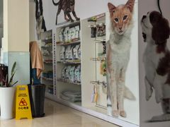 -瑞派申生动物医院·24H夜诊·国际动物医疗中心·骨外科(吴中路店)