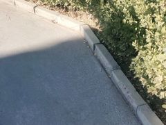 -盛世南宫影视城(北普陀影视城)