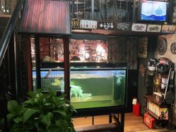 -日月刺青工作室·高端纹身
