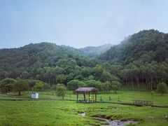 -大水川景区