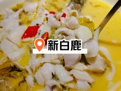 -新白鹿餐厅(滨江银泰店)
