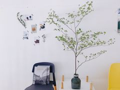 -隹木咖啡馆(宝龙广场店)