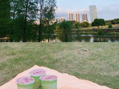 -九里香奶茶果汁(碧湖店)