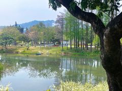 -四海公园(南山区)