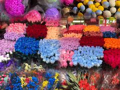 -越秀西湖花市(广州城市广场花卉店)