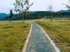 -里口山风景名胜区