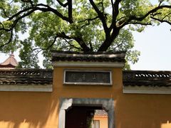 -阿育王寺