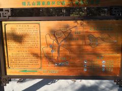 -帽儿山国家森林公园