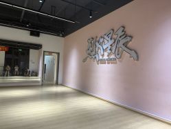 -烈火星辰体育舞蹈