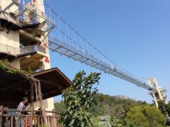 景点-客天下恐龙水晶玻璃桥