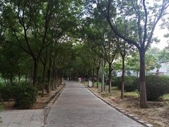 -青城公园