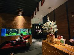 -松临·铁板烧&Omakase(神农店)