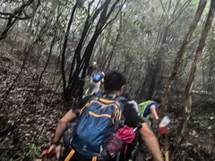 -午潮山国家森林公园