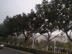 -五通灯塔公园