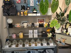 -Dogi&kiki Coffee(中心商务大厦店)